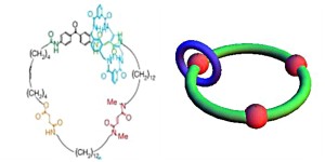 שמאל: מכונה מולקולרית מלאכותית המורכבת משתי מולקולות במבנה של טבעות שלובות. ימין: מודל תיאורטי המתאר את המערכת  על ידי שלושה אתרי קישור על טבעת